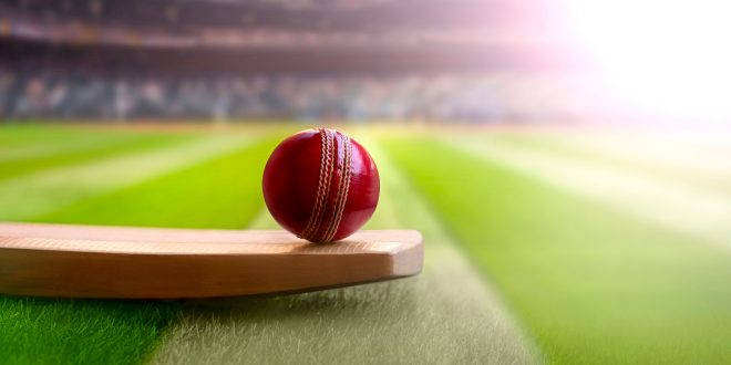 Automating cricket ball production